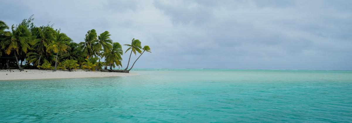 בלי המלדיביים: מה התחליפים לישראלים?